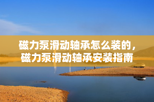 磁力泵滑动轴承怎么装的，磁力泵滑动轴承安装指南