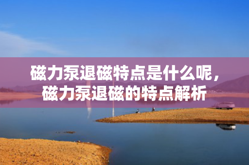 磁力泵退磁特点是什么呢，磁力泵退磁的特点解析