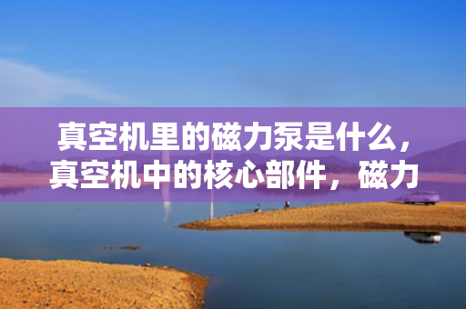 真空机里的磁力泵是什么，真空机中的核心部件，磁力泵解析