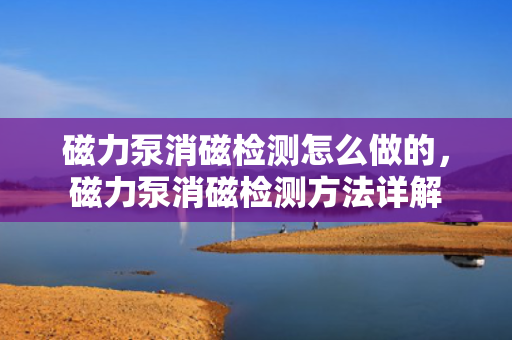 磁力泵消磁检测怎么做的，磁力泵消磁检测方法详解