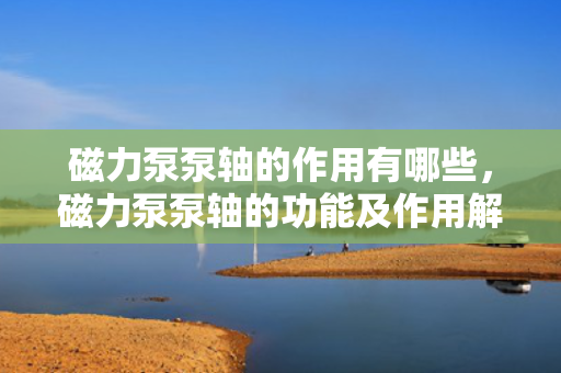 磁力泵泵轴的作用有哪些，磁力泵泵轴的功能及作用解析