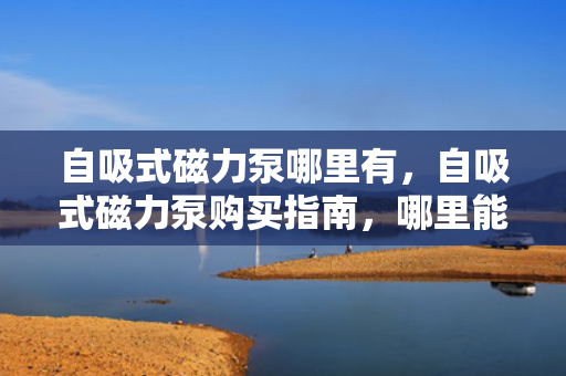 自吸式磁力泵哪里有，自吸式磁力泵购买指南，哪里能找到高品质的产品？