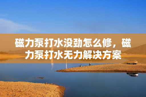磁力泵打水没劲怎么修，磁力泵打水无力解决方案