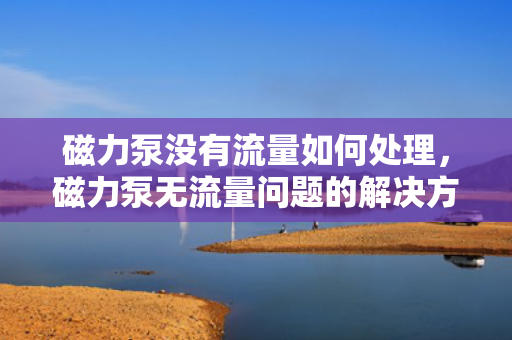 磁力泵没有流量如何处理，磁力泵无流量问题的解决方法