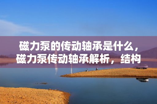 磁力泵的传动轴承是什么，磁力泵传动轴承解析，结构与功能一览