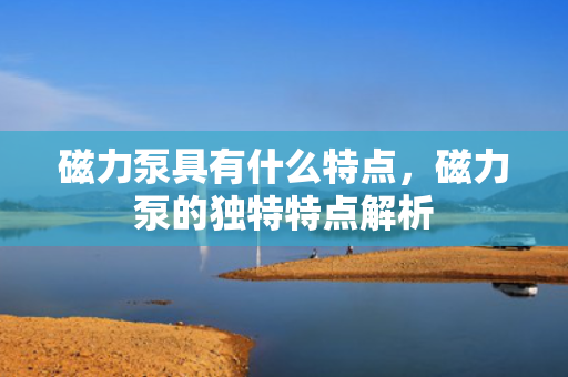 磁力泵具有什么特点，磁力泵的独特特点解析