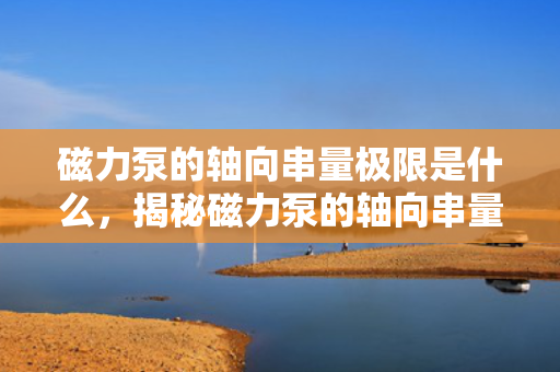 磁力泵的轴向串量极限是什么，揭秘磁力泵的轴向串量极限，关键参数解析