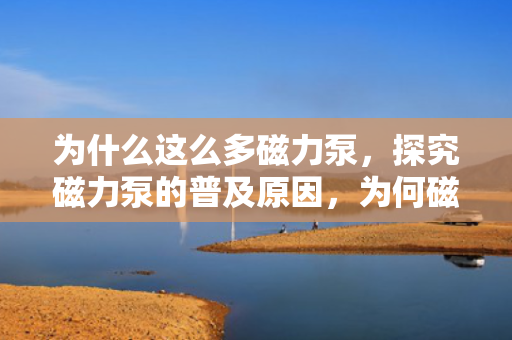 为什么这么多磁力泵，探究磁力泵的普及原因，为何磁力泵如此受欢迎？