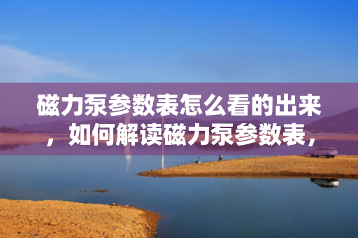 磁力泵参数表怎么看的出来，如何解读磁力泵参数表，一份简明指南