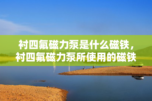 衬四氟磁力泵是什么磁铁，衬四氟磁力泵所使用的磁铁类型解析