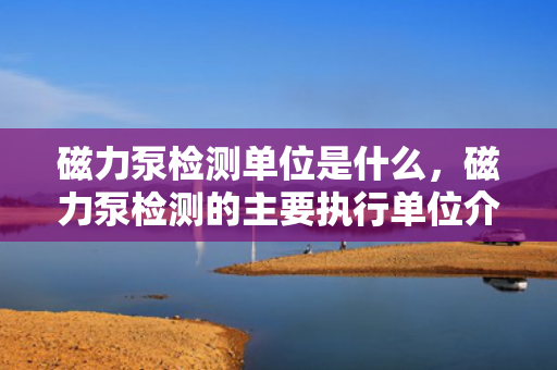 磁力泵检测单位是什么，磁力泵检测的主要执行单位介绍