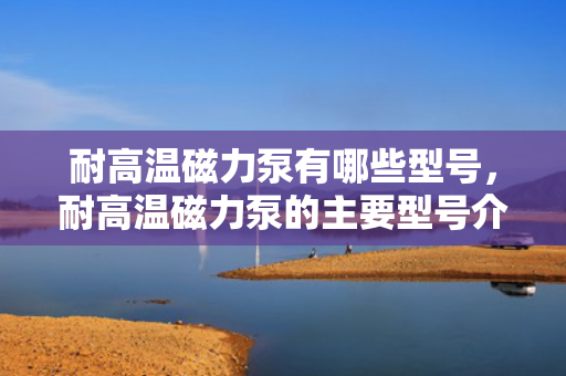 耐高温磁力泵有哪些型号，耐高温磁力泵的主要型号介绍