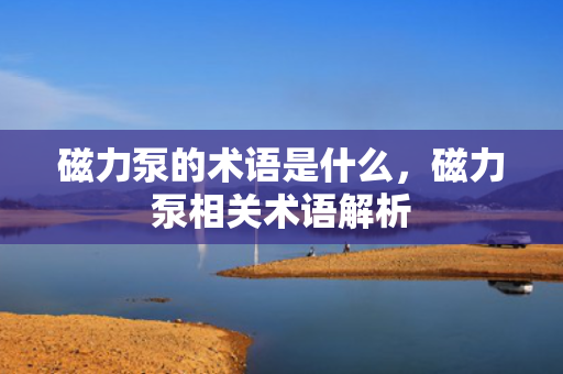 磁力泵的术语是什么，磁力泵相关术语解析