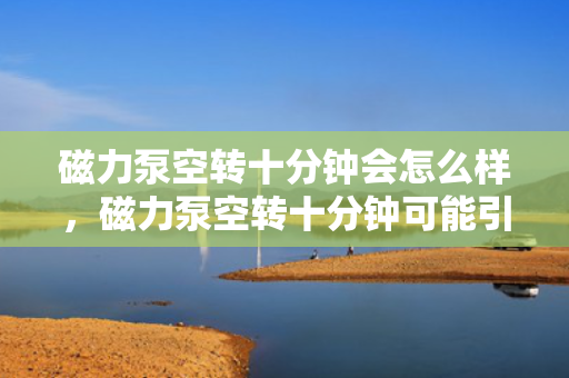 磁力泵空转十分钟会怎么样，磁力泵空转十分钟可能引发的后果与风险