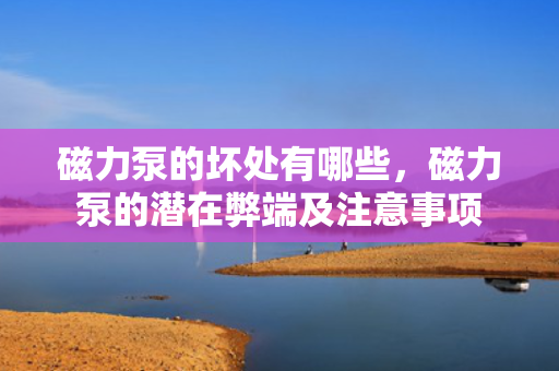 磁力泵的坏处有哪些，磁力泵的潜在弊端及注意事项