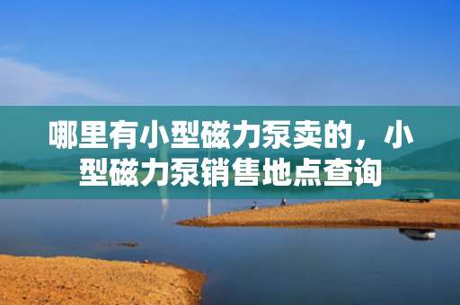 哪里有小型磁力泵卖的，小型磁力泵销售地点查询