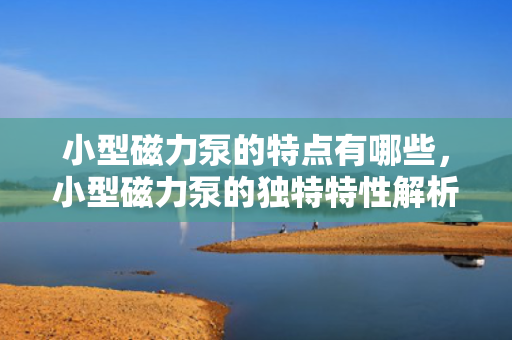 小型磁力泵的特点有哪些，小型磁力泵的独特特性解析