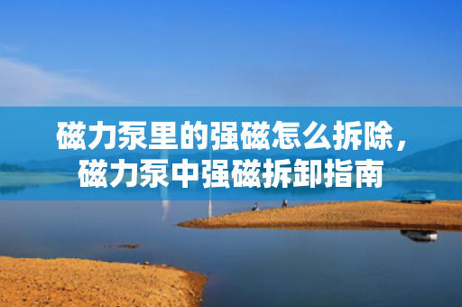 磁力泵里的强磁怎么拆除，磁力泵中强磁拆卸指南