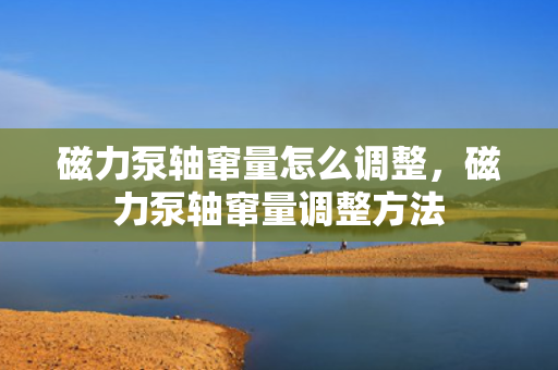 磁力泵轴窜量怎么调整，磁力泵轴窜量调整方法