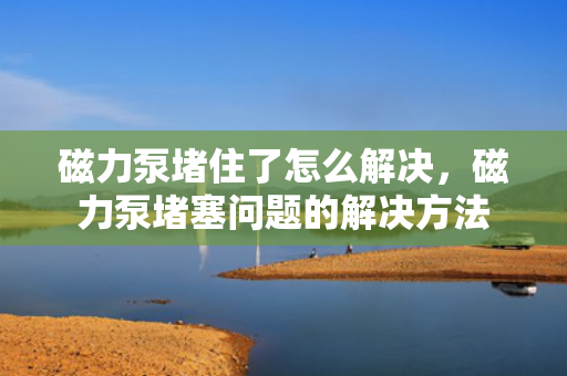 磁力泵堵住了怎么解决，磁力泵堵塞问题的解决方法