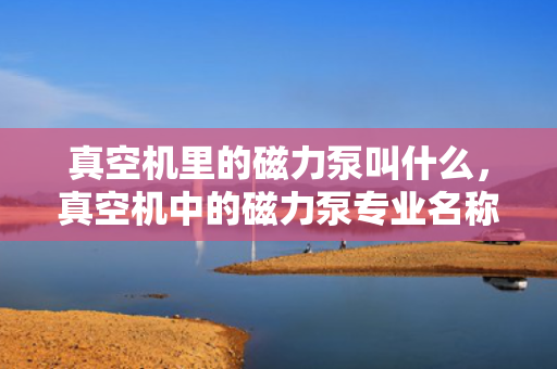 真空机里的磁力泵叫什么，真空机中的磁力泵专业名称解析