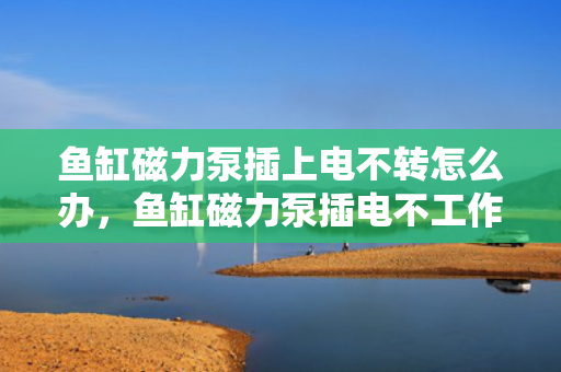鱼缸磁力泵插上电不转怎么办，鱼缸磁力泵插电不工作解决方案