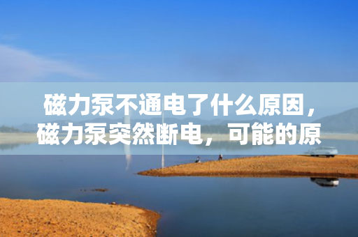 磁力泵不通电了什么原因，磁力泵突然断电，可能的原因及解决方案