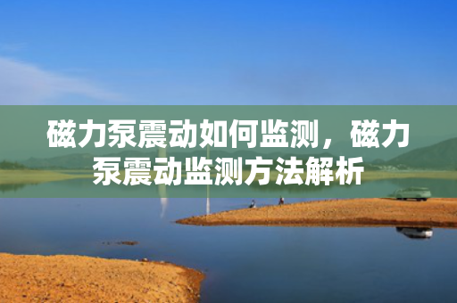 磁力泵震动如何监测，磁力泵震动监测方法解析