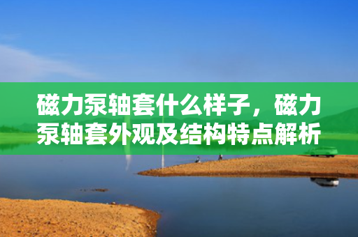 磁力泵轴套什么样子，磁力泵轴套外观及结构特点解析