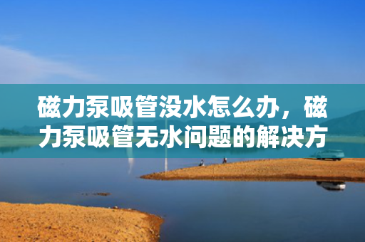 磁力泵吸管没水怎么办，磁力泵吸管无水问题的解决方案
