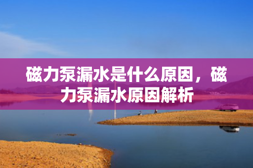 磁力泵漏水是什么原因，磁力泵漏水原因解析