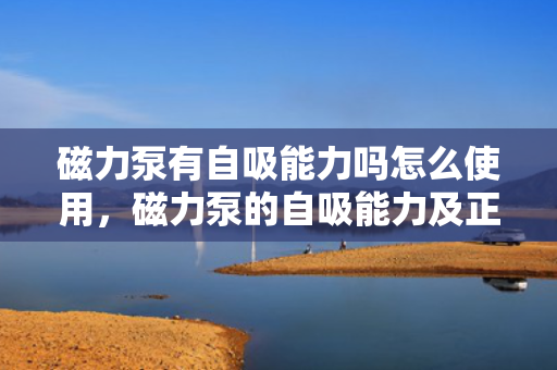 磁力泵有自吸能力吗怎么使用，磁力泵的自吸能力及正确使用方法解析