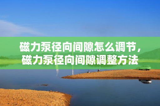 磁力泵径向间隙怎么调节，磁力泵径向间隙调整方法