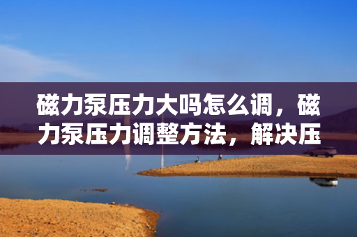 磁力泵压力大吗怎么调，磁力泵压力调整方法，解决压力过大的问题