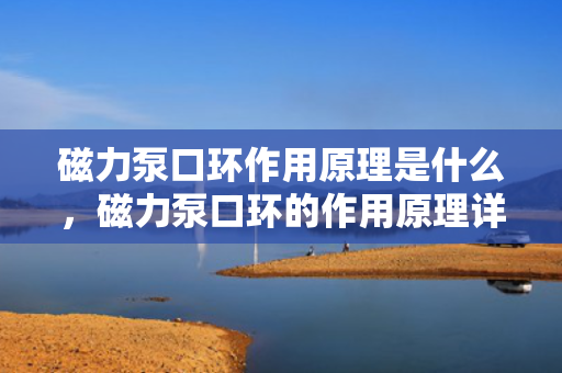 磁力泵口环作用原理是什么，磁力泵口环的作用原理详解