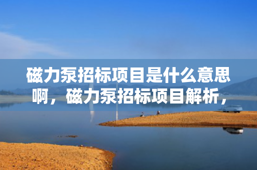 磁力泵招标项目是什么意思啊，磁力泵招标项目解析，定义、流程与注意事项