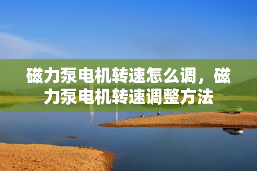 磁力泵电机转速怎么调，磁力泵电机转速调整方法