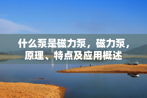 什么泵是磁力泵，磁力泵，原理、特点及应用概述