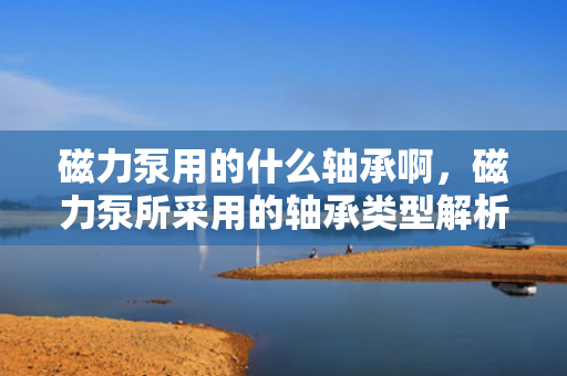 磁力泵用的什么轴承啊，磁力泵所采用的轴承类型解析