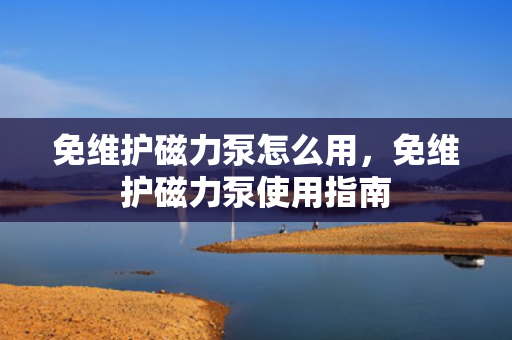 免维护磁力泵怎么用，免维护磁力泵使用指南