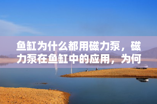 鱼缸为什么都用磁力泵，磁力泵在鱼缸中的应用，为何成为首?。? title=