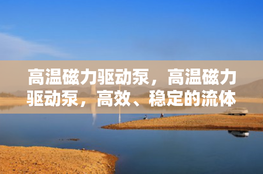 高温磁力驱动泵，高温磁力驱动泵，高效、稳定的流体输送解决方案