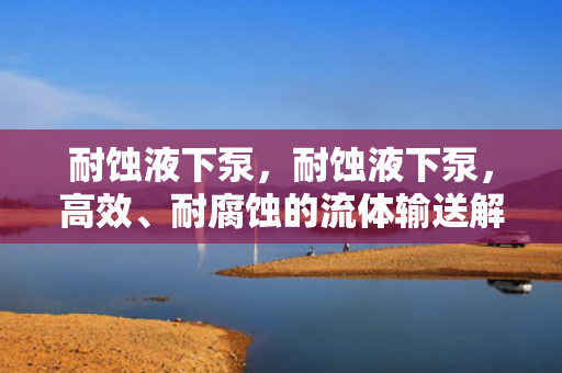 耐蚀液下泵，耐蚀液下泵，高效、耐腐蚀的流体输送解决方案