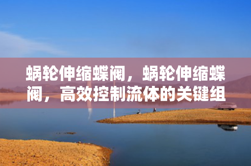 蜗轮伸缩蝶阀，蜗轮伸缩蝶阀，高效控制流体的关键组件