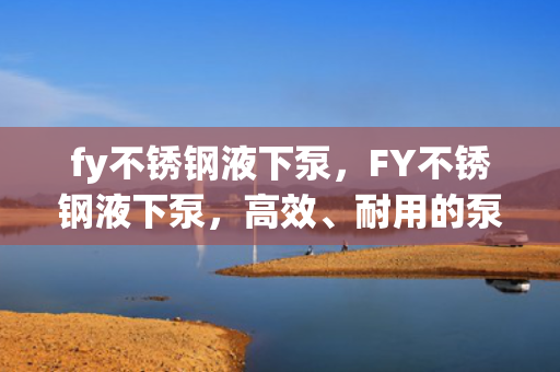 fy不锈钢液下泵，FY不锈钢液下泵，高效、耐用的泵送解决方案