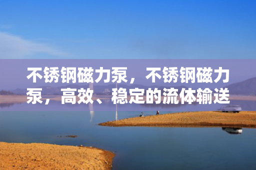 不锈钢磁力泵，不锈钢磁力泵，高效、稳定的流体输送解决方案