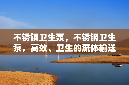 不锈钢卫生泵，不锈钢卫生泵，高效、卫生的流体输送解决方案