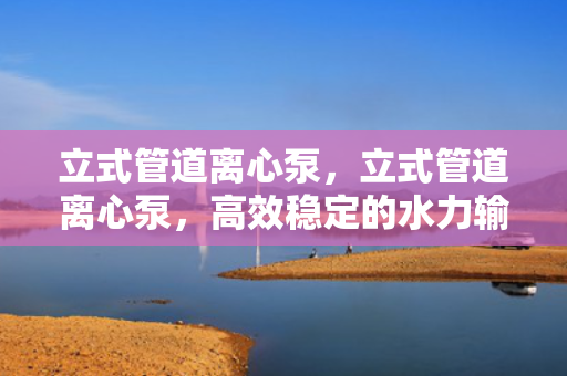 立式管道离心泵，立式管道离心泵，高效稳定的水力输送解决方案