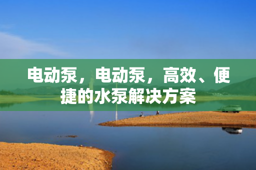 电动泵，电动泵，高效、便捷的水泵解决方案
