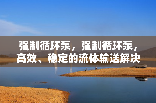 强制循环泵，强制循环泵，高效、稳定的流体输送解决方案